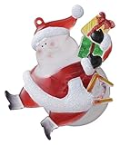 タカショー ウィンドウライト サンタ