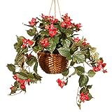 National Tree 13 Inch Bamboo Hanging Basket with Small Red Flowers and Green Stems (RAS-HB88854-A)【ク