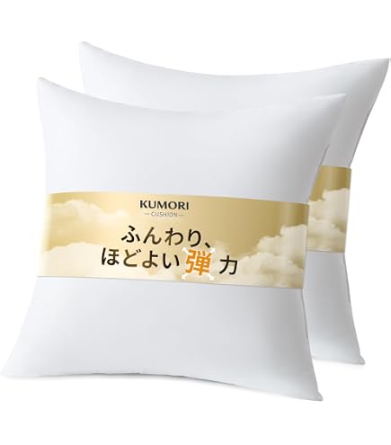 Amazon.co.jp: 籐あじろ編みクッション 45×45cm 2枚組 角型 AZHDX452P