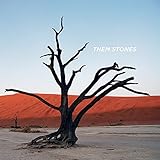 Them Stones (Black & Orange Vinyl) [Analog]