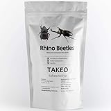 TAKEO 国内正規品 そのまま食べれる昆虫食 カブトムシ 塩味