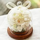 プリザーブドフラワー ガラスドーム ギフト Lサイズ （アンティークホワイト） ガラスの森～ローズシュシュ～