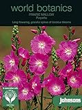WB 英国ジョンソンズシード Johnsons Seeds world botanics collection Prairie Mallow=Sidalcea malviflora Purpett プ