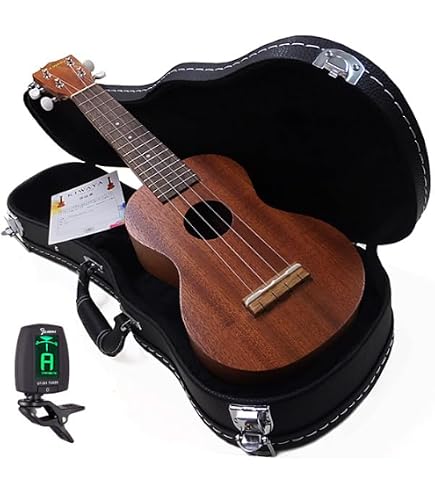 Amazon.co.jp: Famous FS-1(クッション入りバッグ付) 【新仕様 