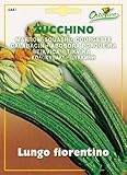 【HORTUS社種子】【Art.6441】ズッキーニ・フィオレンティーノ
