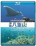 virtual trip　沖縄八重山 diving view（DVD同梱版） [Blu-ray] (Blu-ray - 2011)