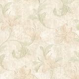 Mirage 991-45871 Palace Floral Scroll Wallpaper Light Green [並行輸入品]