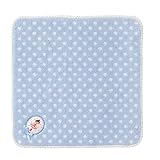 MIKIHOUSE(ミキハウス)リーナちゃん 爽やかブルー ドットミニタオル(名前ネーム付き) ---,ブルー（１５）