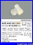 コイズミ照明 アウトドアスポットライト AUE640561