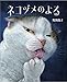 ネコヅメのよる
