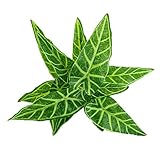 Lovoski プラスチック+クロス製　人工観葉植物　ホーム　オフィス　庭　結婚式　装飾　#1