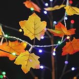 jiayihome 2 AAバッテリーPowered Lighted Fallガーランド – 8.2フィート – オレンジと黄色の色合いLeaves with 20ライト – Perfect Fall