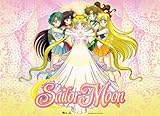 Great Eastern Entertainment Sailormoon Group Wall Scroll, 33 by 44-Inch [並行輸入品]