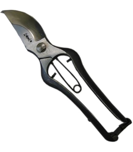 Amazon | 若狭屋 SYU 剪定鋏Pro 本革付 No.DX225 225mm | 園芸用はさみ