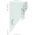 ウェブはバカと暇人のもの (光文社新書 399)