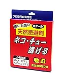 SHIMADA ネコ・チュー逃げる