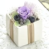 プリザーブドフラワー 花花 ぷち 手のひらサイズ (バラ と フルーツ) 枯れないお花 お祝い プチギフト プレゼント (オリジナルメッセージカード ラッピング 無料対応) ブルーベリー