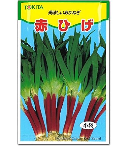 Amazon.co.jp: トキタ種苗 ネギ なべちゃんゴールド : DIY・工具・ガーデン