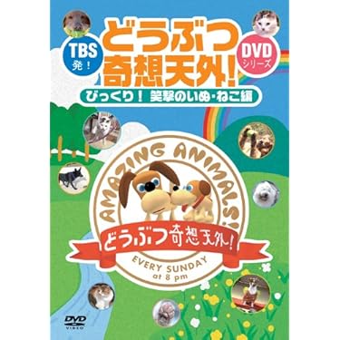 Amazon.co.jp 売れ筋ランキング: undefined の中で最も人気の