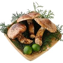 Amazon.co.jp: 国産 松茸 ひらき 小さめ 約230g 2~8本程度 まつたけ