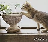 [���C�t�X�^�C���E�N���V�b�N] �g��낱�сh�N���V�b�N
