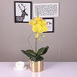 BAGEHUA ファレノプシスの黄金スーツセラミック壺モデル・ルームシミュレーションリビングルーム装飾装飾花の花黄色ピンク花、 B