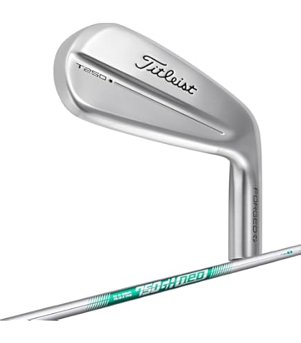 Amazon.co.jp: タイトリストアイアン 25 T250 4G RH New MMT Blue S 5