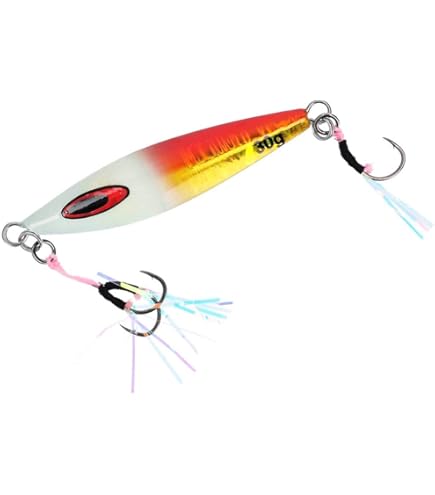 Amazon.co.jp: ダイワ(DAIWA) リールケース ソルティガ FKジグ SLJ 60g