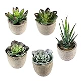 VORCOOL 人工観葉植物 多肉植物 ポット付き 5点セット
