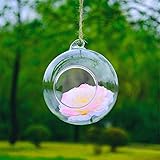 SHINA 2個セット球形 ハンギング ガラス 花瓶 水栽培ポット 観葉植物 水耕栽培植物 ホームデコレーション