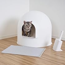 新品 未使用　ピダン　pidan　猫　トイレ　スノードーム型 pidan ピダン 猫用トイレ スノードーム型 ホワイト (31336