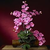 胡蝶蘭シルクOrchid Flower w / Leaves ( 6 stems )