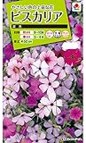 タキイ種苗 ビスカリア混合