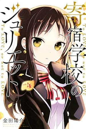 画像25: 2月5日の新刊「アクセル・ワールド 21」「ストライク・ザ・ブラッド 16」など35冊ほか、来週配信の予約本速報