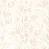 Brewster 2532-20471 Jessamine Tulips Wallpaper Blush [並行輸入品]