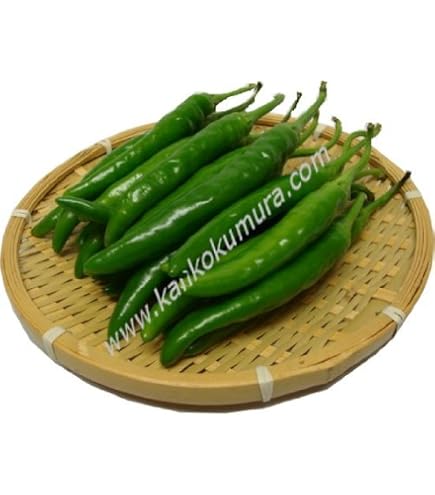 Amazon | 激辛 青唐辛子 200g 食卓応援隊厳選の辛い青唐辛子 | 食卓