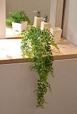 観葉植物 フェイク 造花 ♪【グリーンパーク】防水ボタンファーン プラベースL♪ インテリアグリーン アーティフィシャル