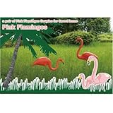 ガーデンオブジェ 「PINKFLAMINGOS」 2体セット 世田谷ベース