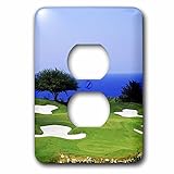 3dRose (lsp_72383_6) White Witch Golf Course, Montego Bay, Jamaica Greg Johnston 2 Plug Outlet Cover