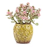 T4U 8.5CM 陶器ミ二植木鉢 田舎風 桜花模様の氷裂釉 多肉植物 サボテン鉢 フラワーポット プランター容器 黄