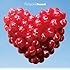 flumpool「Present(通常盤)」