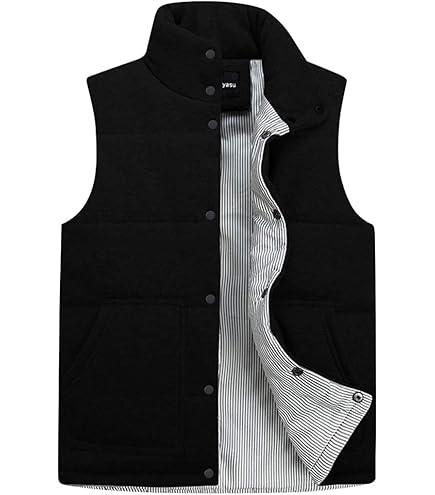 Amazon.co.jp: DANTON ダントン ポーラテックフリース ベスト