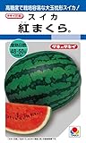 タキイ種苗 スイカ 紅まくら ASU026