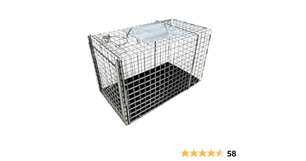 cat transfer cage