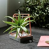 幾何学花鍋、空気パイナップルローズゴールドセメント鉄アート花瓶ポットベース創造性屋内居間鉢植え緑色植物花インテリア装飾品コンテナ床置き植物ブラケット