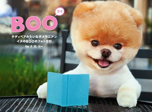 BOO イヌのブゥのフォト日記