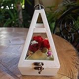 パラボッセ プリザーブドフラワー テラリウム レッド preserved flower red