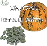 カボチャ 南瓜 種子 ストライプペポ 100粒 硬い種皮が無い 種子食用 かぼちゃ