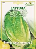 【HORTUS社種子】【Art.3201】ローメインレタス・Bionda lenta montare 2