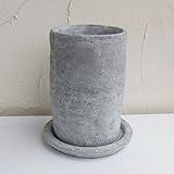 ロゼッタトール白S（直径13cm）・皿付き[鉢・受け皿付き] ノーブランド品